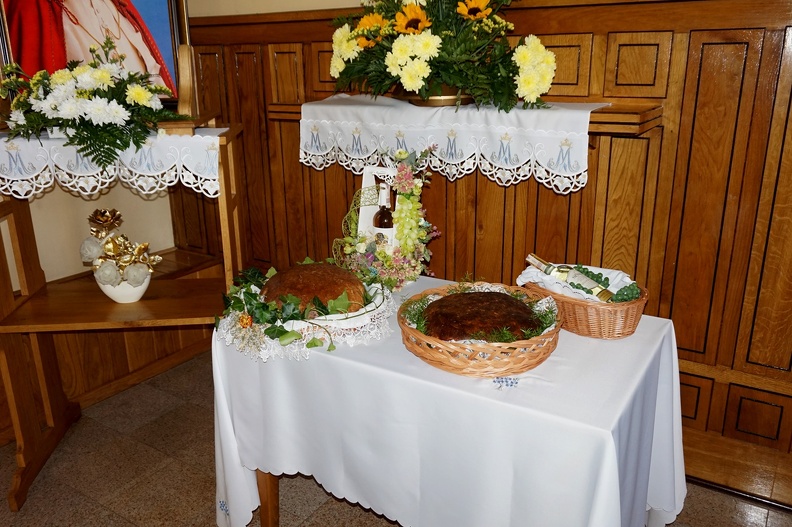 2017-NMP i Poświęcenie Wieńca-0030