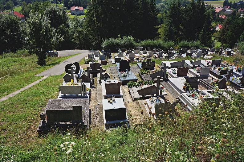 2024-WNMP-0091 (4722 odwiedzin) 2024-WNMP-0091