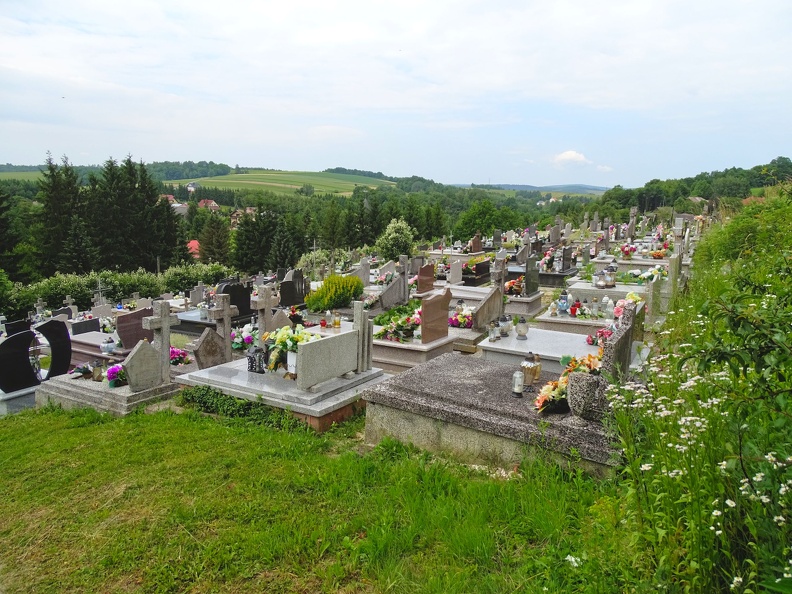 Boze-Cialo-200 (1584 odwiedzin) Boze-Cialo-200